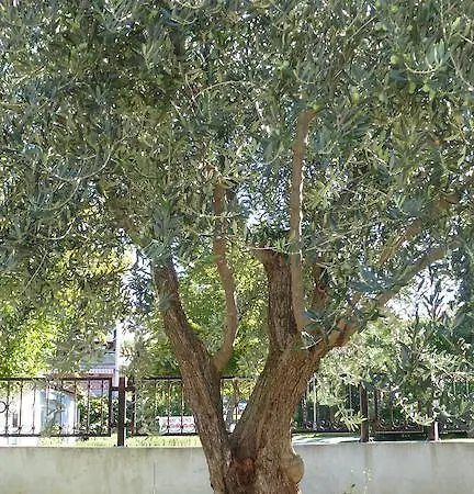 Apartment Libera *