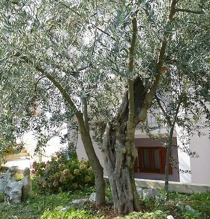 Apartment Libera *