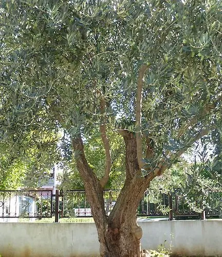 Apartamento Libera *