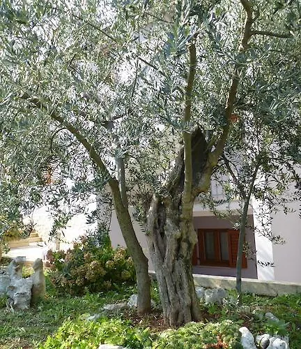 Apartamento Libera *